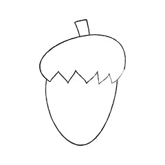 acorn nut fruit food natural icon vector illustration sketch design