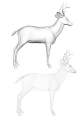 Vector illustration of roe deer, side view. Two deer with a polygonal mesh and 3D.