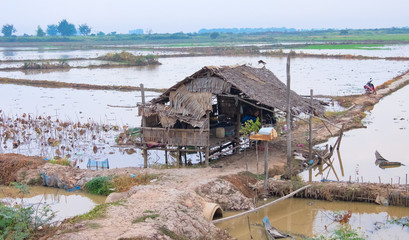 Typical village in southeastern Asia