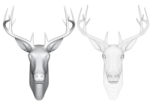 Vector illustration of a head of roe deer, front view. Two heads of deer with polygonal and reticulated 3D.
