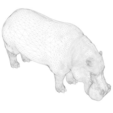 Vector illustration with hippopotamus in isometric. Polygonal cover of 3D.
