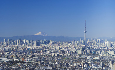 Fototapeta premium 富士山と東京都心の街並み 2018 