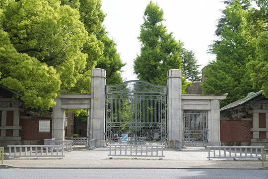 東京大学　正門　春　新緑