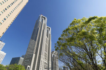 Obraz premium 新宿 春 新緑 快晴 青空