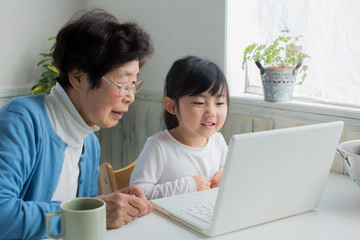 孫とパソコンを使う老人