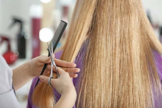 Professional hairdresser cutting client's hair in beauty salon