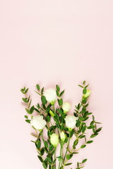 bouquet of white flowers and twigs of eucalyptus on a pale pink background. top view. copy space