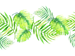 Watercolor linear border, frame, element. Seamless background. From a vegetative pattern. Green leaves of a palm tree, tropical leaves, a fern. On a white background. For your design and profile. 