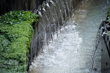 Nachklärbecken mit Wasserlinsen in der Kläranlage, gereinigtes Wasser läuft in Rinne