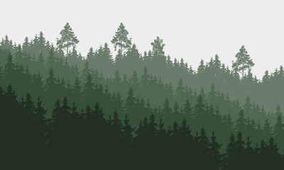 panoramic vector illustration of a forest under a overcast gray sky