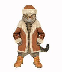 The cat is wearing a hat, winter coat and boots. White background.