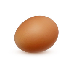 One chicken egg isolated on white background.