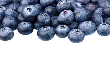 Blueberry. Background from the scattered berries. space for text.
