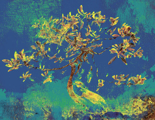 Fototapeta na wymiar bonsai art tree