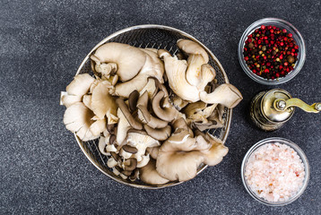 Oyster mushrooms for cooking on gray background