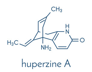 Huperzine A alkaloid molecule. Skeletal formula.