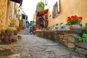 Beautiful old street with flowers in Hum, smallest town in the world, Istria, Croatia