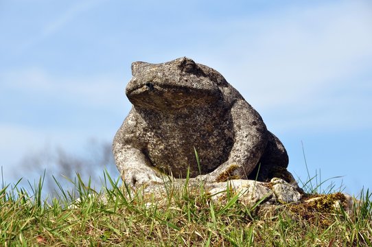 Gro&szlig;er Steinfrosch auf der Festung Rosenberg