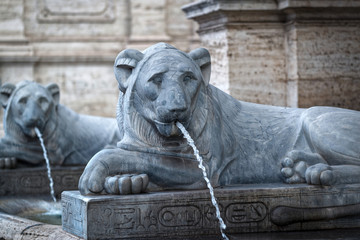 Fototapeta na wymiar The lion fountain