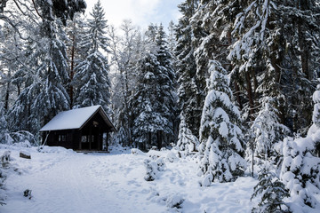 Winterwunderland - Schwarzwald