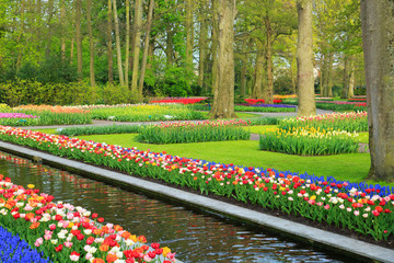 Fr&uuml;hling im Keukenhof in Lisse, Holland