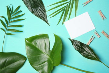 Tropical leaves on color background, flat lay