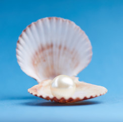 pearls on the blue background