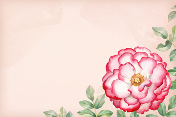 Background with a watercolor rose flower. Perfect for greeting cards or invitations