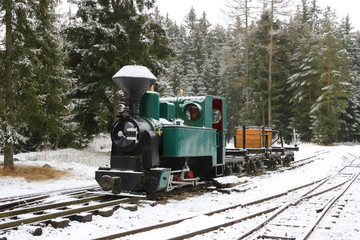 vintage train in winter forest