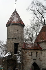  Old Town in Tallinn, Estonia. The Tower of the Fortress Wall