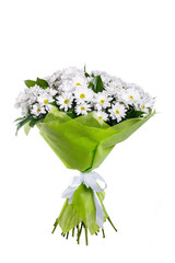 A bouquet of white camomiles, chrysanthemums in a light green package and tied with a white ribbon. A holiday, a gift for a woman. Big and smart. Side view. Isolated.