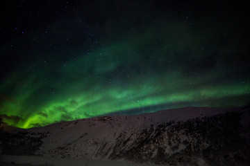 Polarlicht / Aurora borealis