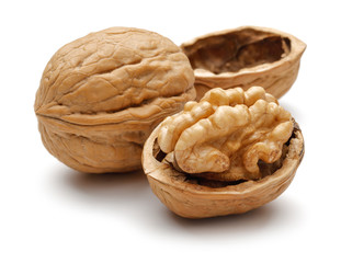 Walnut