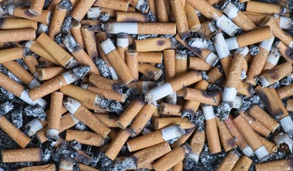 Gerauchte Zi­ga­ret­ten­stum­mel liegen in Asche - Hintergrund - obrazy, fototapety, plakaty
