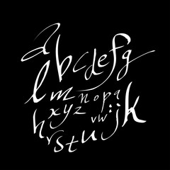 벡터 문자 / 손으로 쓴 글씨체