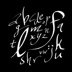 벡터 문자 / 손으로 쓴 글씨체