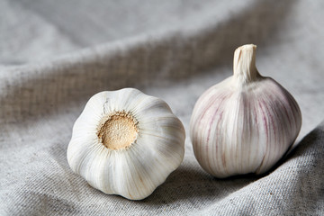 Close up view of two garlic bulbs arranged on a cotton tablecloth, shallow depth of field, selective focus, macro