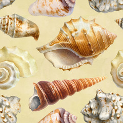 Seamless pattern with watercolor illustrations of shells