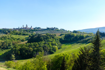 Naklejka premium Tuscany Landscape - San Gimignano