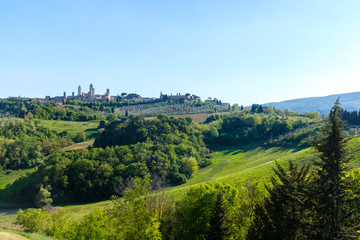 Tuscany Landscape - San Gimignano