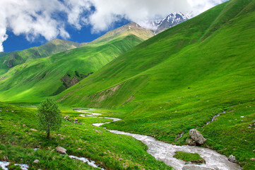 Fototapeta na wymiar Green valley with stormy river in the Caucasus, Kazbegi, Georgia, Svaneti