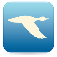 vector silhouette flying duck