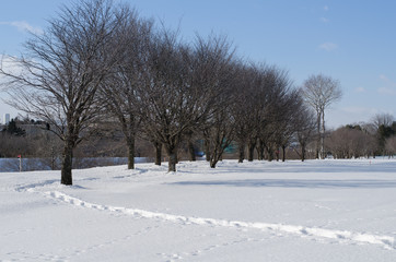 川辺の風景