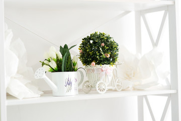 Modern white bright design interior bouquet green plant sunny