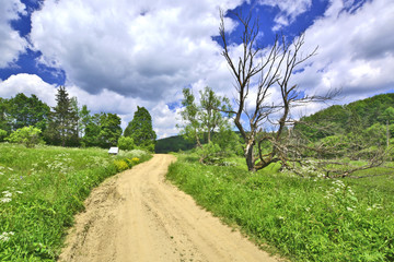 Dirt road, Radocyna, Beskid Niski, Poland © Jurek Adamski