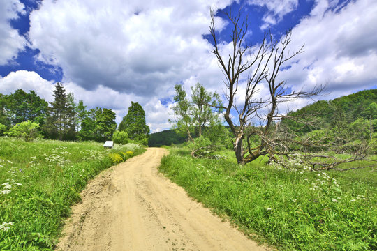 Dirt road, Radocyna, Beskid Niski, Poland