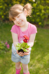 un coeur de fleurs pour maman