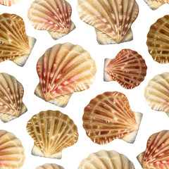 Seamless pattern with watercolor illustrations of shells