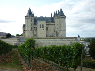 Fototapeta na wymiar Château de Saumur, Maine et Loire, France
