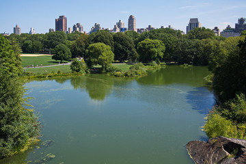 Fototapeta na wymiar Turtle Pond in Central Park in New York 